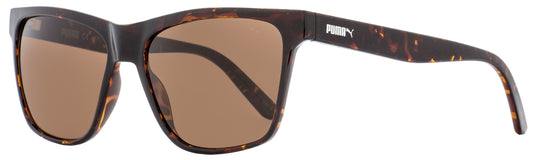 Puma Rectangular Sunglasses PU0168S Hampton 002 Havana 57mm 168